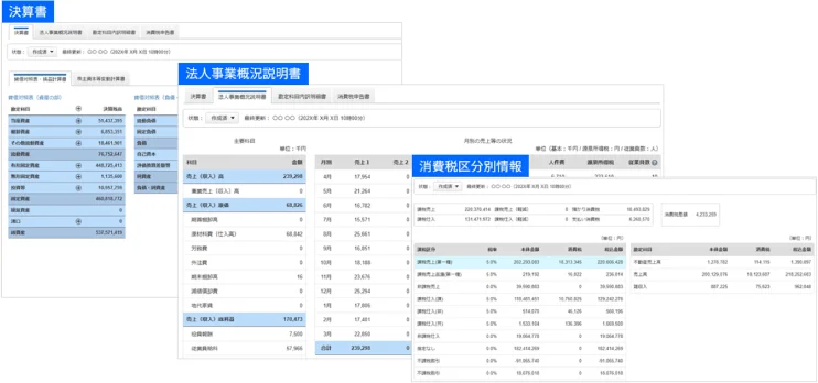 決算書・法人事業概況説明書・消費税区分別情報